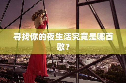 寻找你的夜生活究竟是哪首歌？