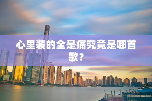 心里装的全是痛究竟是哪首歌？