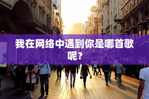我在网络中遇到你是哪首歌呢？