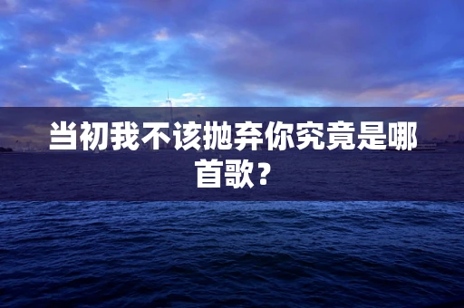 当初我不该抛弃你究竟是哪首歌？