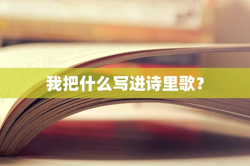 我把什么写进诗里歌？