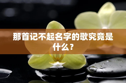 那首记不起名字的歌究竟是什么？