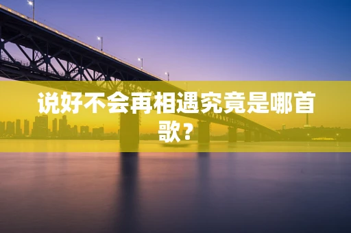 说好不会再相遇究竟是哪首歌？
