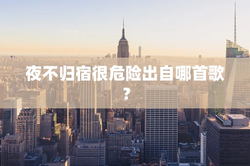 夜不归宿很危险出自哪首歌？