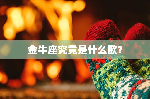 金牛座究竟是什么歌？