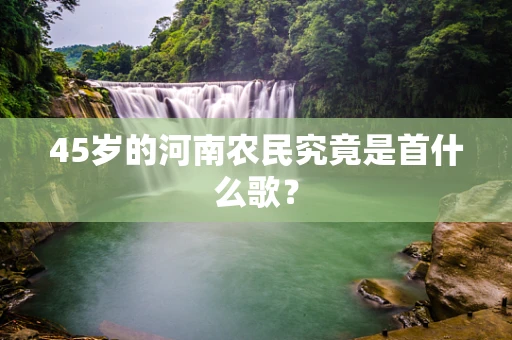 45岁的河南农民究竟是首什么歌？