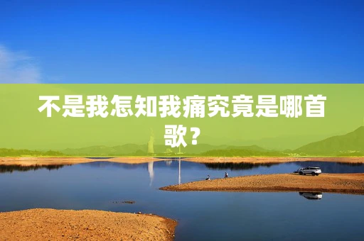 不是我怎知我痛究竟是哪首歌？