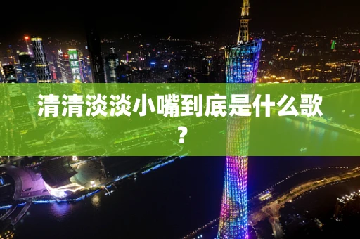 清清淡淡小嘴到底是什么歌？
