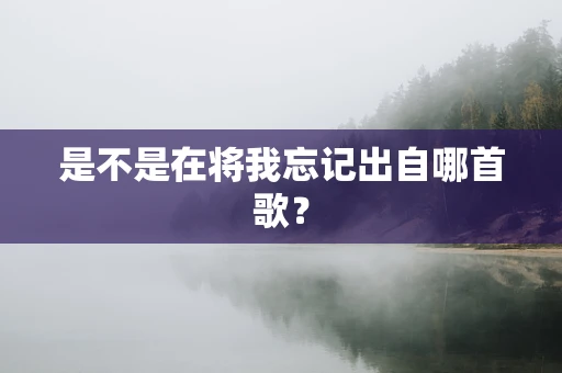 是不是在将我忘记出自哪首歌？