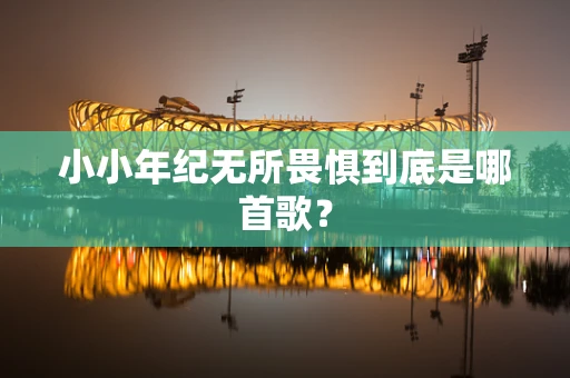 小小年纪无所畏惧到底是哪首歌？