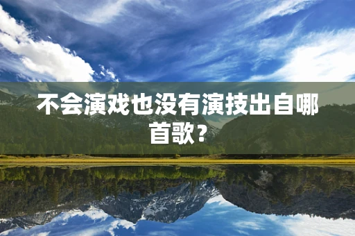 不会演戏也没有演技出自哪首歌？