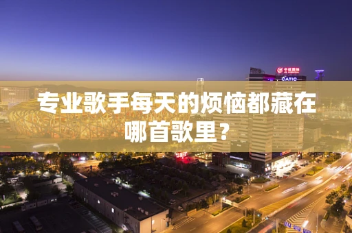 专业歌手每天的烦恼都藏在哪首歌里？