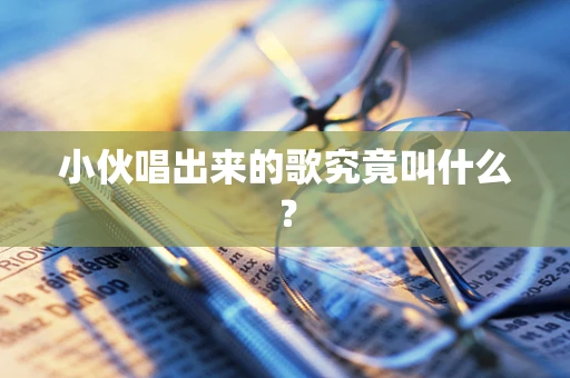 小伙唱出来的歌究竟叫什么？