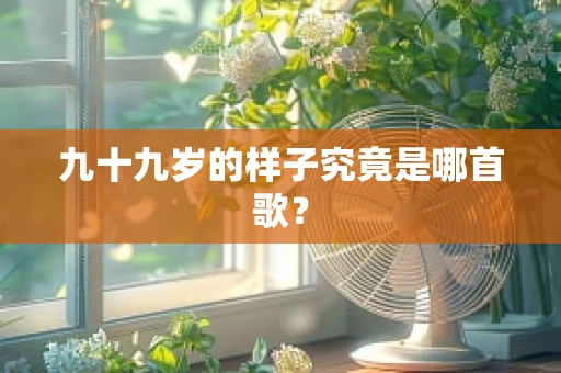 九十九岁的样子究竟是哪首歌？
