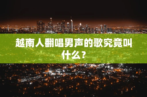 越南人翻唱男声的歌究竟叫什么？
