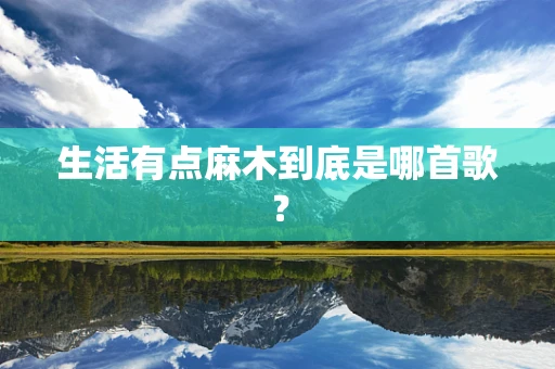 生活有点麻木到底是哪首歌？