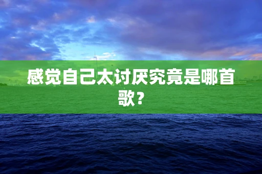 感觉自己太讨厌究竟是哪首歌？