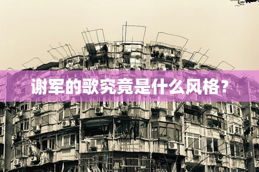 谢军的歌究竟是什么风格？