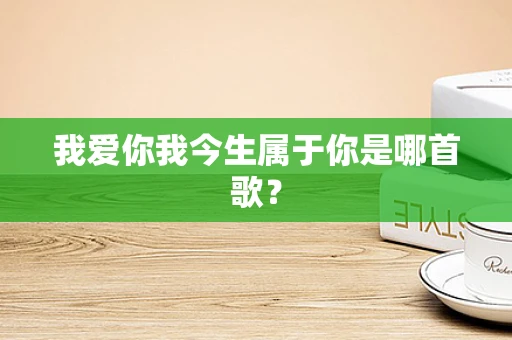 我爱你我今生属于你是哪首歌？