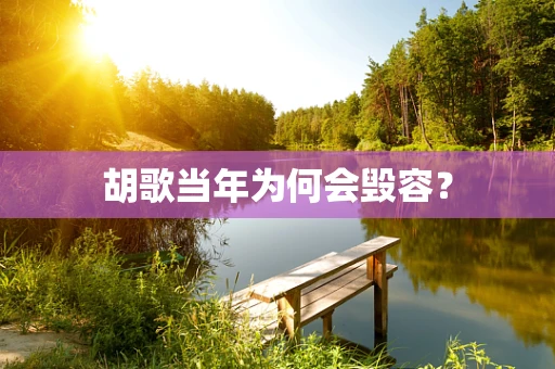 胡歌当年为何会毁容？
