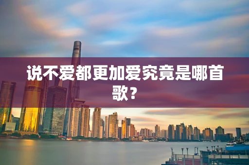说不爱都更加爱究竟是哪首歌？