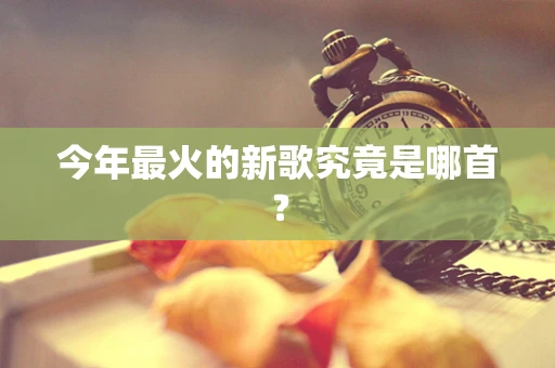 今年最火的新歌究竟是哪首？