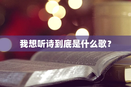 我想听诗到底是什么歌？