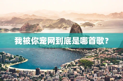 我被你宠网到底是哪首歌？