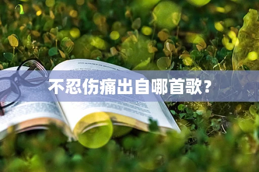 不忍伤痛出自哪首歌？