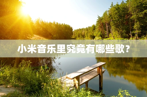 小米音乐里究竟有哪些歌？