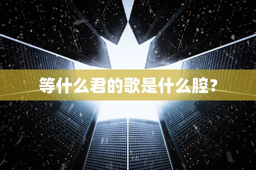 等什么君的歌是什么腔？
