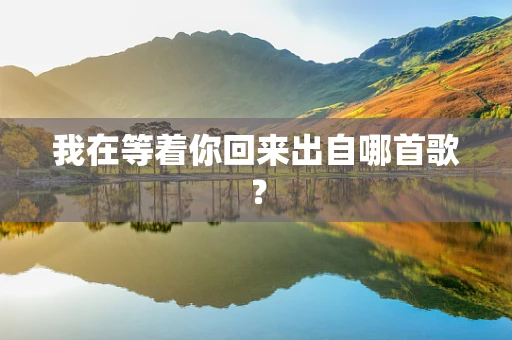 我在等着你回来出自哪首歌？