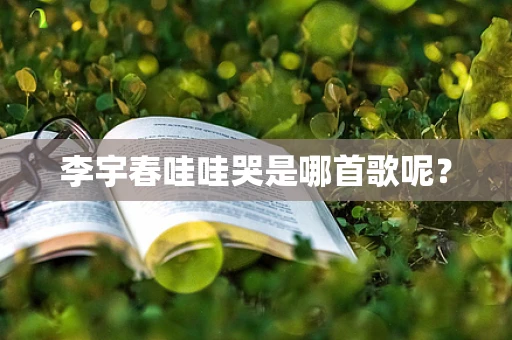 李宇春哇哇哭是哪首歌呢？