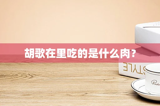 胡歌在里吃的是什么肉？