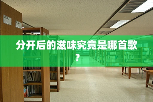 分开后的滋味究竟是哪首歌？