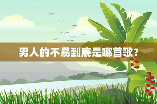男人的不易到底是哪首歌？