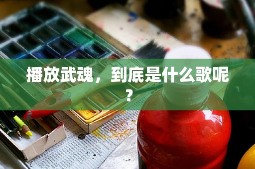播放武魂，到底是什么歌呢？