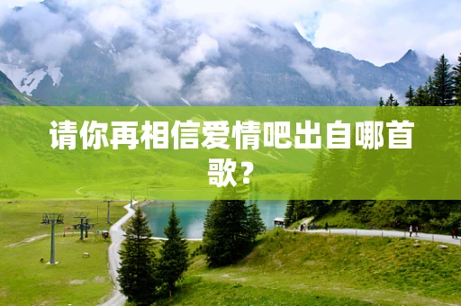 请你再相信爱情吧出自哪首歌？
