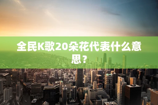 全民K歌20朵花代表什么意思？
