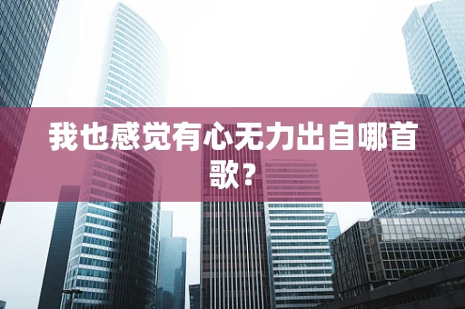 我也感觉有心无力出自哪首歌？