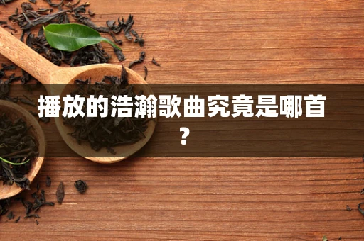 播放的浩瀚歌曲究竟是哪首？