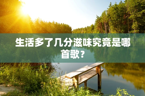 生活多了几分滋味究竟是哪首歌？