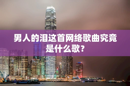 男人的泪这首网络歌曲究竟是什么歌？