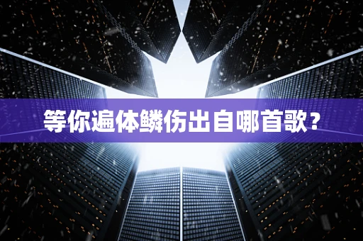 等你遍体鳞伤出自哪首歌？