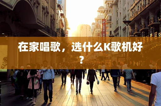 在家唱歌，选什么K歌机好？