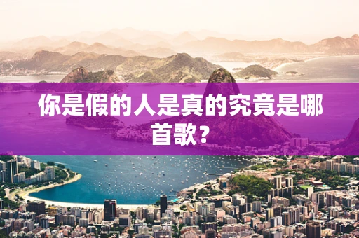 你是假的人是真的究竟是哪首歌？