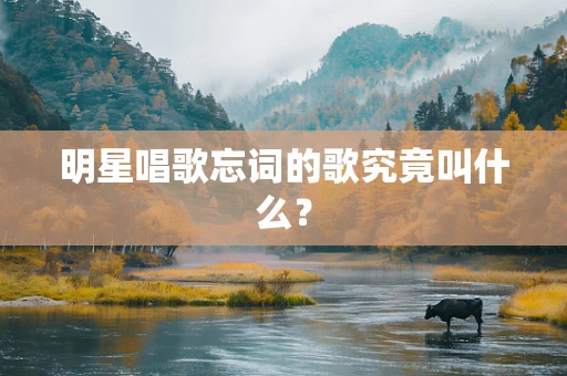 明星唱歌忘词的歌究竟叫什么？