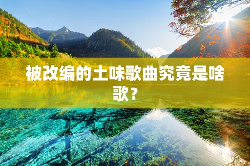 被改编的土味歌曲究竟是啥歌？