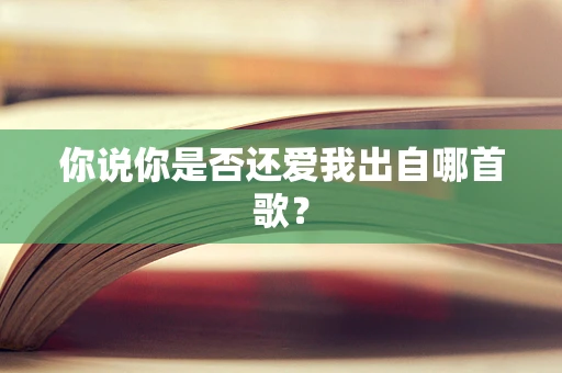 你说你是否还爱我出自哪首歌？