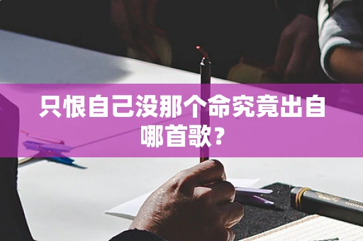 只恨自己没那个命究竟出自哪首歌？